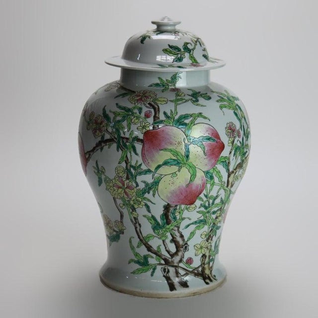 Chinese Chinese Republic Period Porcelain Covered Longevity Ginger Jar With Fruit, Early 20th Century For Sale - Image 3 of 7