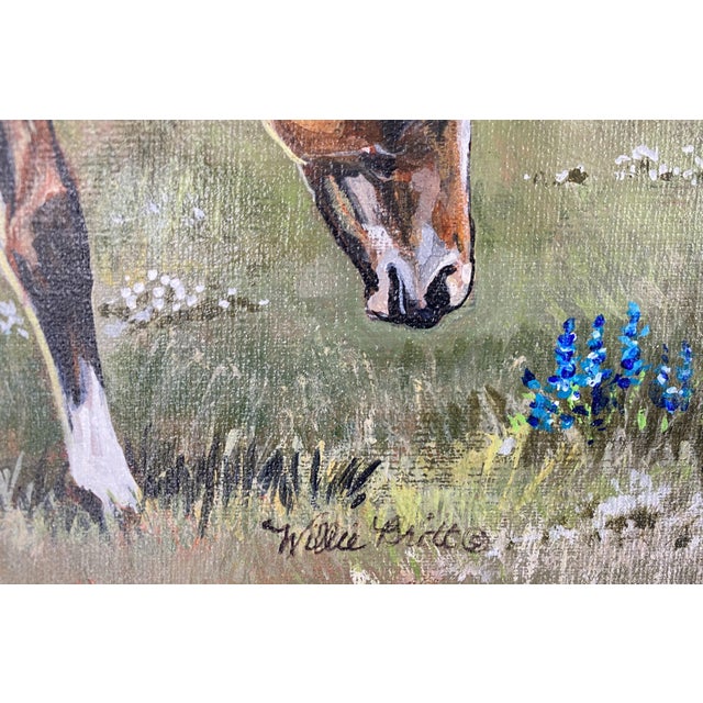 Realism "Que Curiosa" ~ Willie Britt, Original Acrylic Painting. For Sale - Image 3 of 5