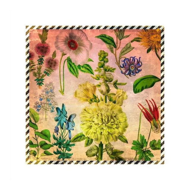 Antique Distressed Botanical Archival Print For Sale