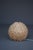 Sea Urchin Wooden Table Lamp, 1990s For Sale - Image 4 of 9