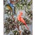 Textile Italian Artist, Tropical Birds, 1950s, Canvas Paintings, Set of 2 For Sale - Image 7 of 13