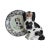 An antique, c. 1850 Victorian English Staffordshire spaniel dog, black and white, marked No.4 on the base (an indication...