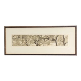 “Thorny Edge” Limited Edition Etching by Bethia Brehmer For Sale