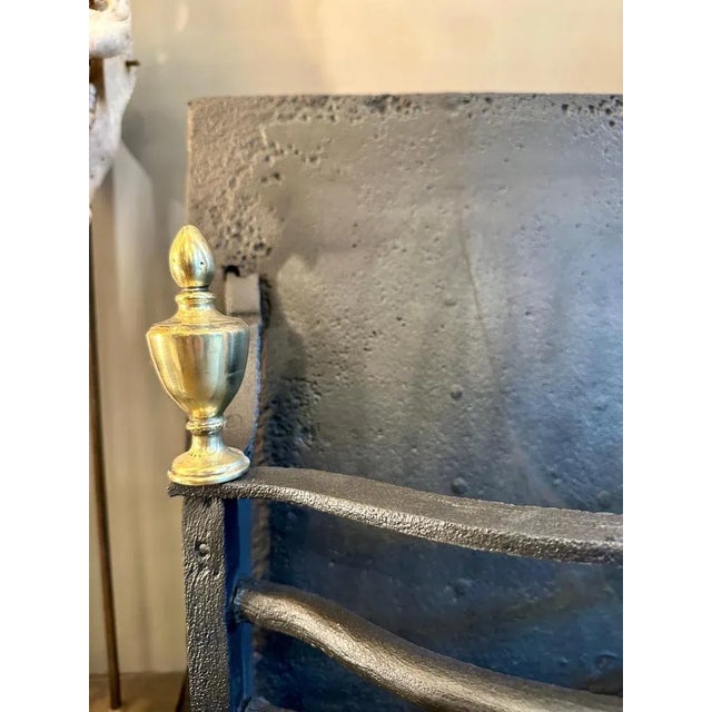 Early 19th Century Georgian Wrought Iron and Brass Fire Grate, 1810s For Sale - Image 4 of 10