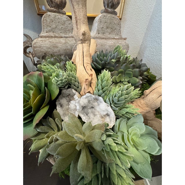 Custom Succulent Arrangement in Wooden Bowl For Sale - Image 11 of 11