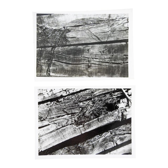 Abstract Wood Photographs - a Pair For Sale
