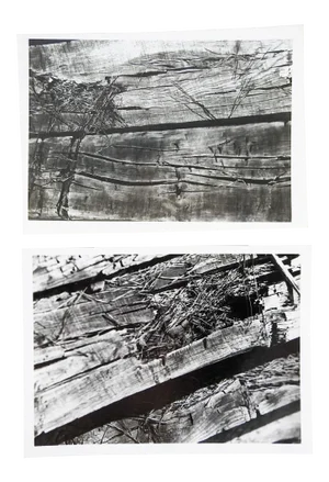Abstract Wood Photographs - a Pair