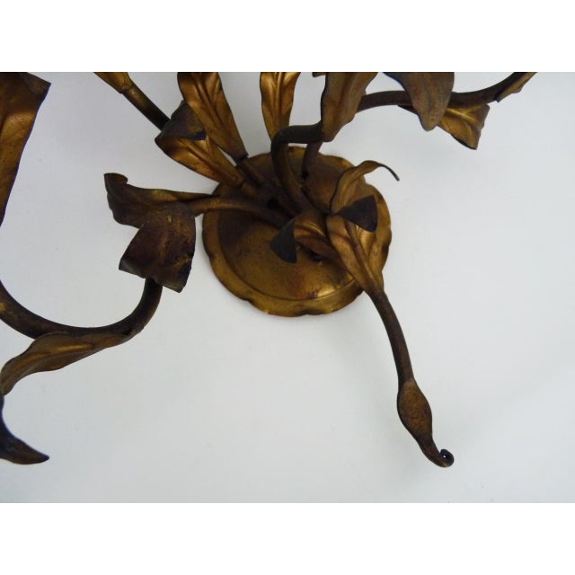 Gold Vintage Italian Foliage Flower Wall Lights in Gold Metal, 1950s For Sale - Image 8 of 10