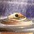 Victorian Garnet Pearl 18k Gold Ring, Circa 1860, Size 10 For Sale In Madison - Image 6 of 10