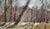 Contemporary Framed Original Painting Plein Air Landscape by Valeriya Serova For Sale - Image 3 of 11