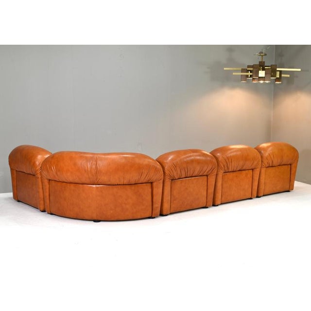 Animal Skin Sectional Sofa in Cognac Leather by Rossi Di Albizzate, Italy, 1970s, Set of 5 For Sale - Image 7 of 18