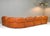 Animal Skin Sectional Sofa in Cognac Leather by Rossi Di Albizzate, Italy, 1970s, Set of 5 For Sale - Image 7 of 18