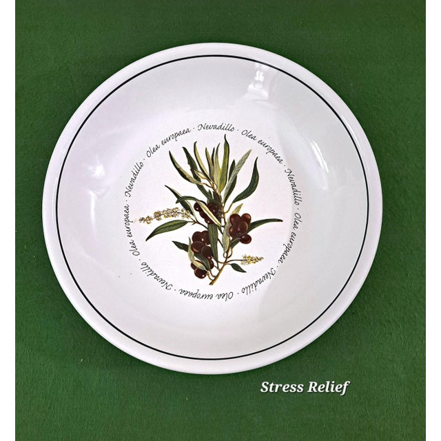 Mediterranean Williams Sonoma Olea Europaea Botanical Olive Serving Bowl Set - 5 Pieces For Sale In West Palm - Image 6 of 14