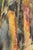 Albert Goltjakov, Sunlight in the Forest, 1960s, Watercolor, in Good conditions. Designed 1960 to 1969 I have official...