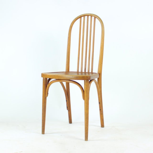 Vintage Oak Bentwood Chair by Michael Thonet for Thonet, Former Czechoslovakia, 1920s For Sale - Image 16 of 16