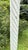 Tall Distressed Wood Claw Foot Painted Pedestal Plant Stand For Sale - Image 9 of 18