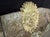 Sculpture Materials Rare 80" Vintage c.1940's Concrete Frieze Triptych Wall Mounted Garden Art - Sun & Roosters / Chickens For Sale - Image 7 of 13