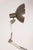 Mid-Century Modern Lupela Articulated Table Lamp, Spain, 1970s For Sale - Image 3 of 13