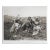 Late 19th Century Arab Horse Cavaliers After Adolph Schreyer Photogravure For Sale