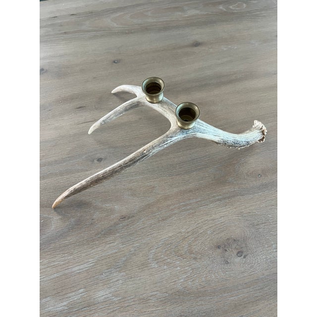 Bone Vintage Natural Drop Deer Antler Candelabra For Sale - Image 7 of 10