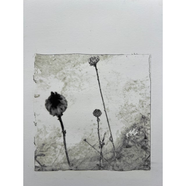 The Field, Digital Transfer Print For Sale - Image 4 of 6