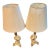 Mid 20th Century Nautilus Shell Table Lamps - a Pair For Sale