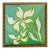 Original Green & Ivory Botanical Oil Painting by Tatiana Duperault, 13" Square, Gold Framed For Sale