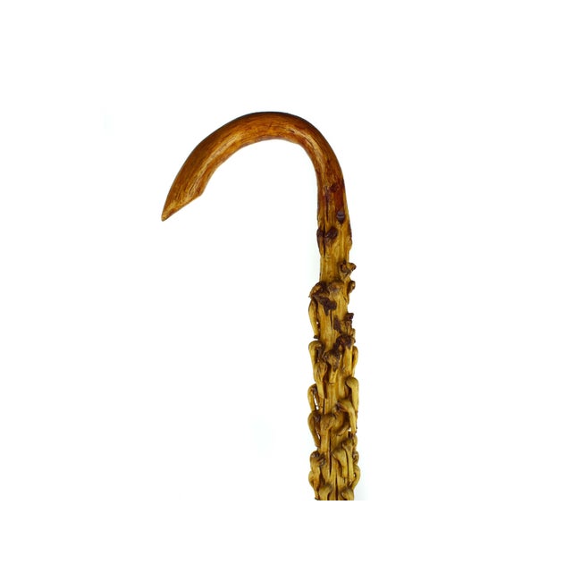 Mid-Century Modern Mid 20th Century Handmade Organic Modern Natural Tropical Palm Wood Walking Cane For Sale - Image 3 of 10