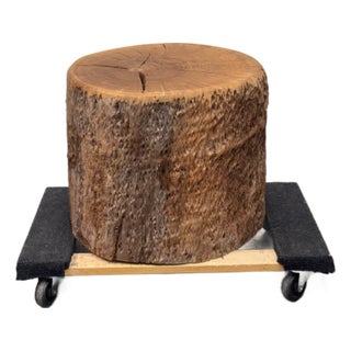 Organic Modern Live Edge Tree Side Table/Stool For Sale