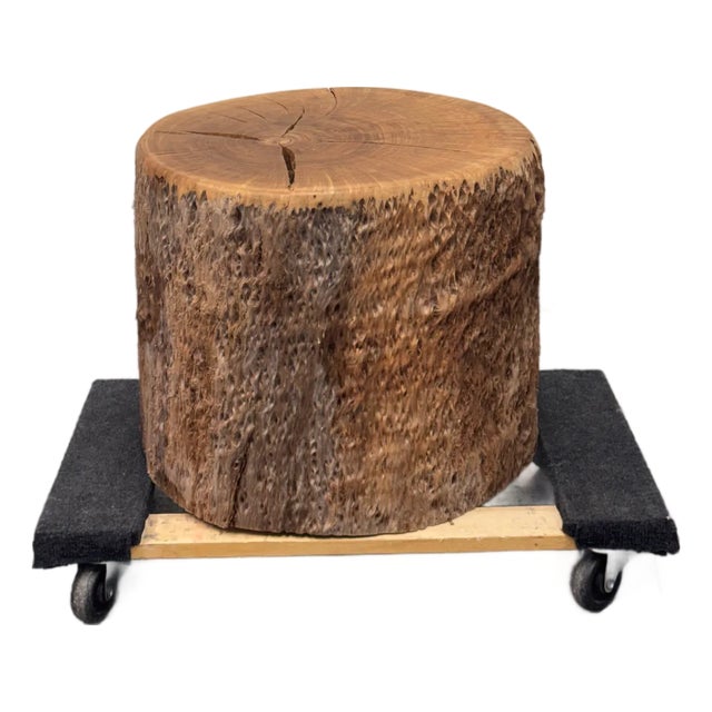 Organic Modern Live Edge Tree Side Table/Stool For Sale