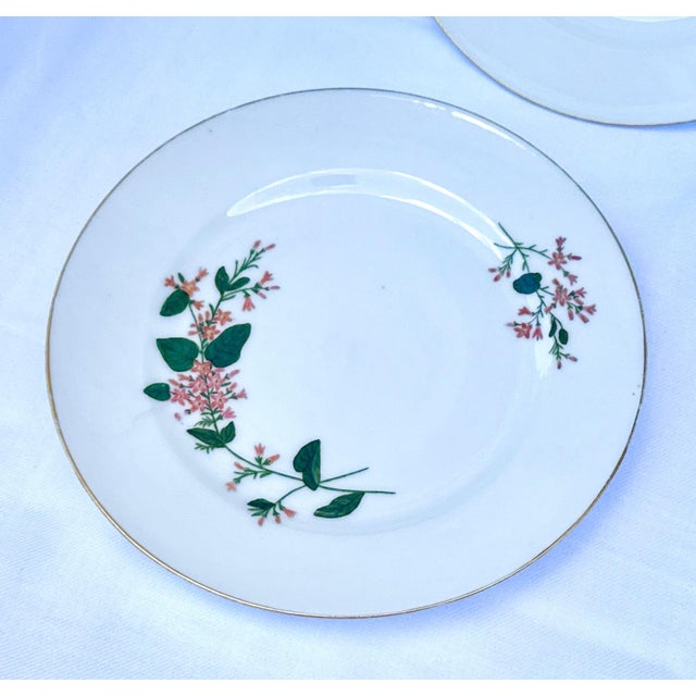 White Late 19th Century Limoges Cabinet Plate Collection - Set of 8 For Sale - Image 8 of 16