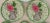 Ceramic Gloria Vanderbilt's Green and Pink Rose Dinnerware for Taste Setter by Sigma-Set of 12 For Sale - Image 7 of 7