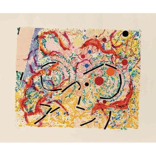 1980 "Vertigo" Abstract Color Screenprint by Nancy Graves For Sale