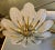 Chandelier from Barovier & Toso For Sale - Image 6 of 18