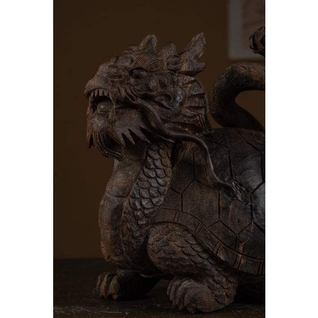 2020s Nha Trang Sugar-Resin Soft-Fiber Kyara Agarwood — “Xuanwu” For Sale - Image 5 of 9