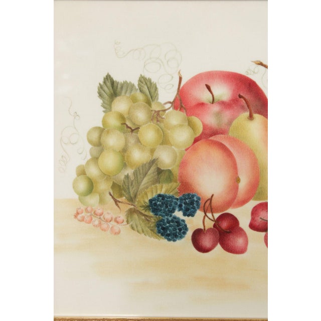Linda Brubaker Fruit Theorem Painting on Velvet For Sale - Image 10 of 12
