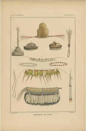 Temminck, Papua Decoration New Guinea, 1840, Paper