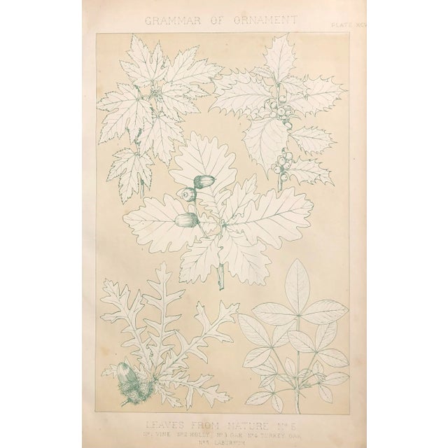 Traditional Antique Owen Jones Grammar of Ornament Botanical Lithograph For Sale - Image 3 of 3