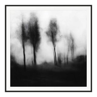 20" X 20" 'Blurred Landscape' #1 Framed Original Black and White Photography For Sale