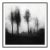 20" X 20" 'Blurred Landscape' #1 Framed Original Black and White Photography For Sale