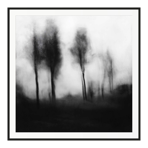 20" X 20" 'Blurred Landscape' #1 Framed Original Black and White Photography