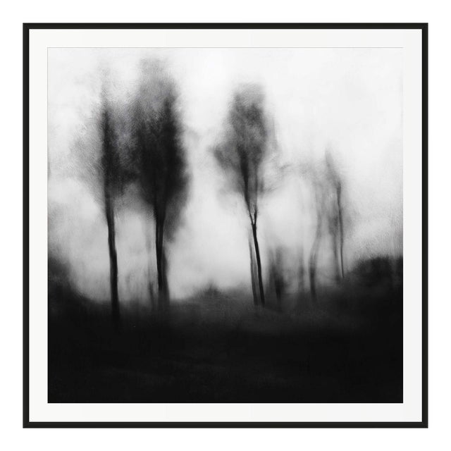 Blurred Landscape No. 1 - Framed Original Black and White Photography For Sale