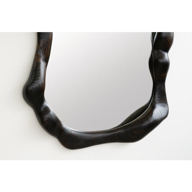 Organic Shaped Charred Red Oak Wall Mirror by Alexander Knysch For Sale - Image 4 of 10
