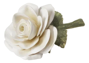AERIN Porcelain Rose, Cream