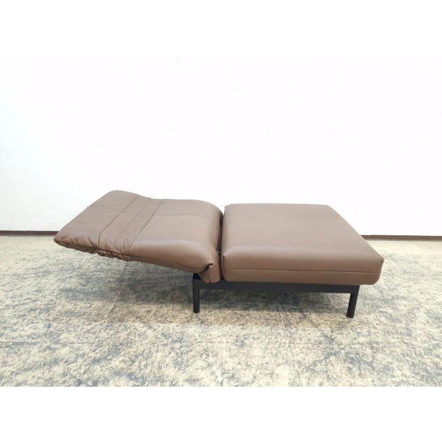 Plura Leather Armchair in Brown from Rolf Benz For Sale - Image 4 of 13