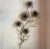 Large, midcentury modern, floral motif, brass wall mounted sculpture by Curtis Jeré features five cascading pom-pom...