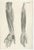 Jules Cloquet, French Anatomical Lithographs, 1821, Lithograph, Set of 4 For Sale - Image 6 of 9