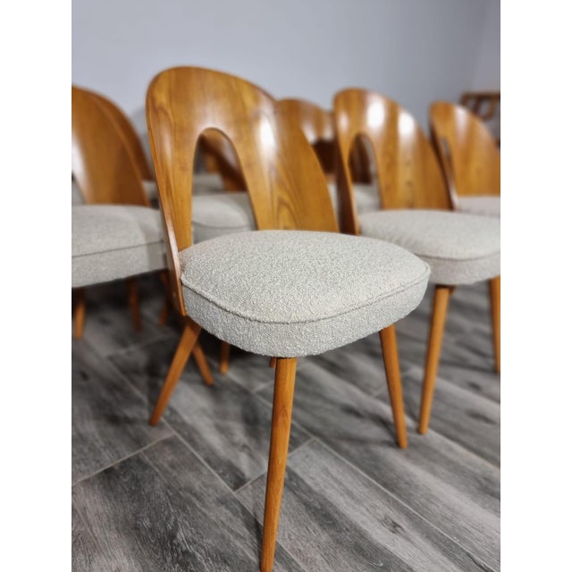 Dining Chairs from Antonin Suman, 1960s, Set of 12 For Sale - Image 12 of 18