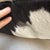 Animal Skin Togo Lounge Chair in Two-Tone Cowhide Leather by Michel Ducaroy for Ligne Roset, 1970 For Sale - Image 7 of 11