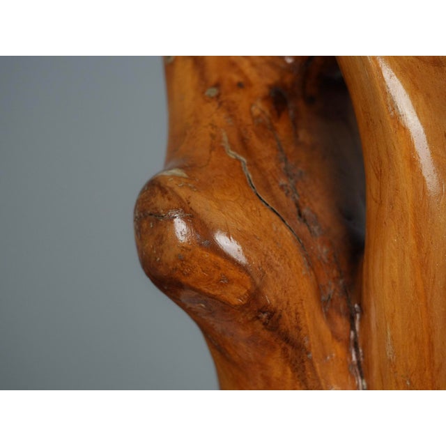 Brown H. Hinfelaar, Organic Wood Sculpture, 1989, Multiplex & Pearwood For Sale - Image 8 of 10